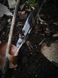 High angle view of feather on ground