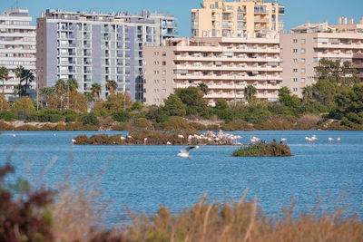 Scenic view of river in city