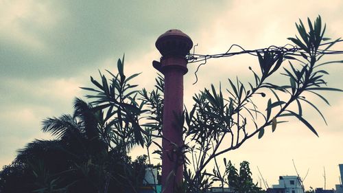 Low angle view of street light against sky