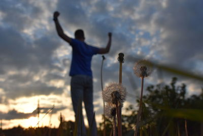 Close-up of dandelions with man with arms raised in background against cloudy sky