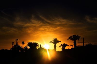 Silhouette palm trees against sky during sunset