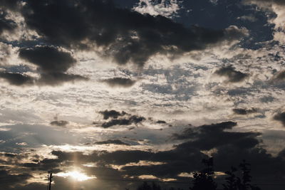 Low angle view of silhouette trees against sky
