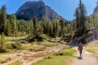 Rear view of man amidst trees against mountains