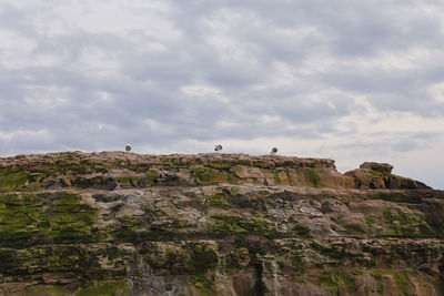 Low angle view of castle on cliff against sky