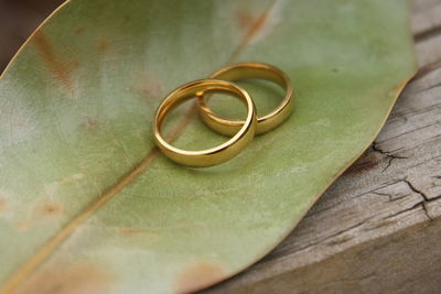 Close-up of wedding rings on leaf