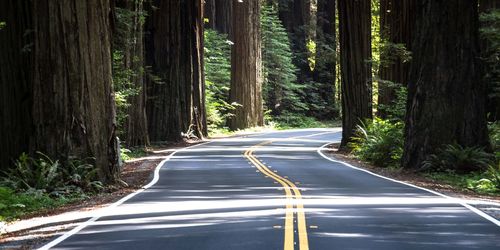 Empty road passing through forest