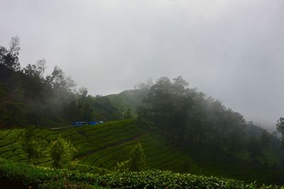 Scenic view of agricultural landscape against sky during foggy weather