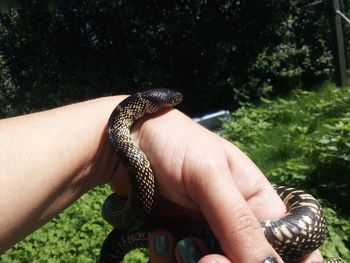 Close-up of man holding hand