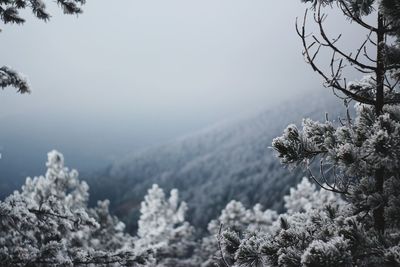 Scenic view of snow covered mountains against sky
