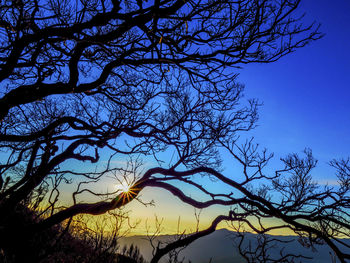 Low angle view of silhouette bare tree against clear sky