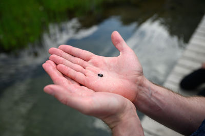 Cropped image of hand against water