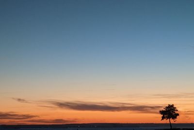 Scenic view of silhouette trees against romantic sky at sunset