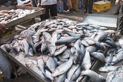 High angle view of fish for sale at market stall