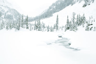 Scenic view of snow covered mountains