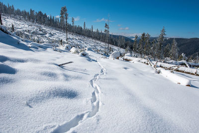 Snow covered land against sky