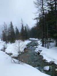 Snow covered land and trees against sky