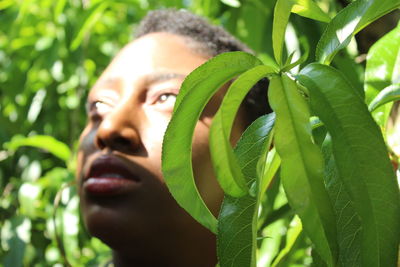 Portrait of man with green plant