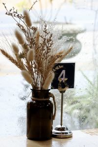 Close-up of potted plant on table