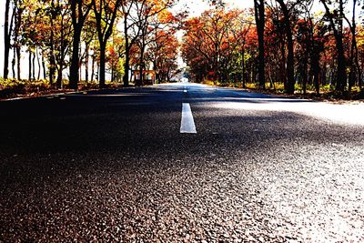 Road passing through trees