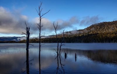 Silhouette bare trees amidst lake against sky