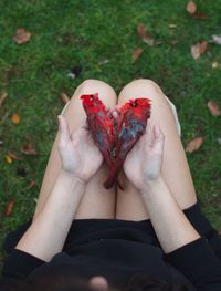 Close-up of cropped hand