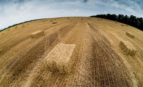 Fish-eye view of hay bales on field against sky