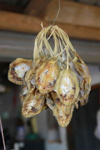 Close-up of dried plant hanging