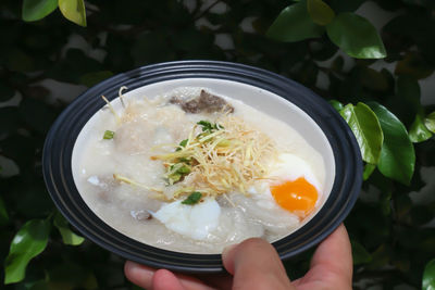 High angle view of food in bowl