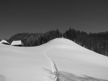 Snow covered trees against sky