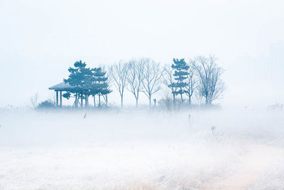 Scenic view of snow covered field against sky