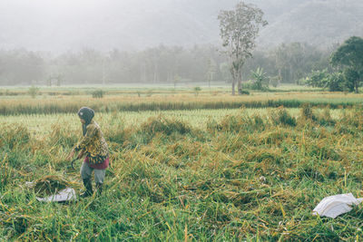 Man working in farm