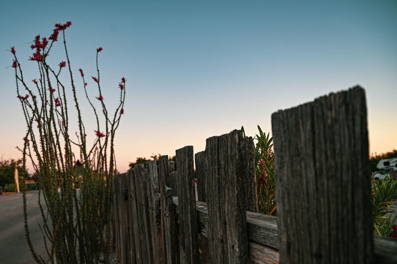 PANORAMIC VIEW OF WOODEN POST AGAINST CLEAR SKY