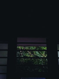 Close-up of trees seen through window