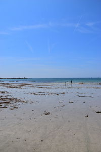 Scenic view of beach against blue sky