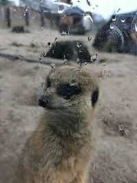 Water drops on glass window