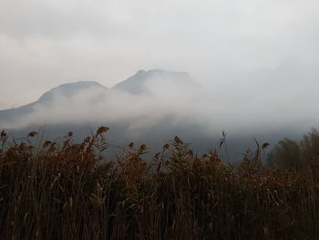 Scenic view of field and mountains against sky