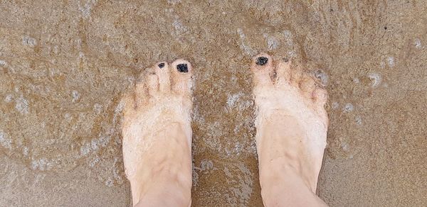 Low section of man standing on beach