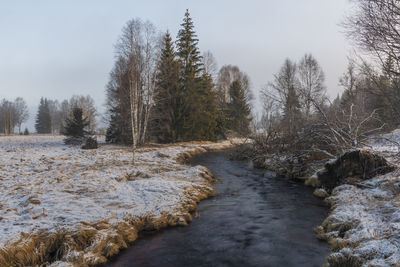 Scenic view of snow covered land and trees against sky