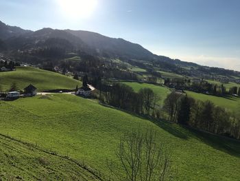 Scenic view of agricultural field against sky