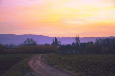 Scenic view of field against sky during sunset