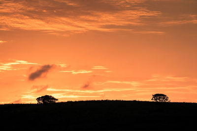 Silhouette trees on field against orange sky