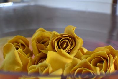 Close-up of yellow roses