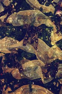 Full frame shot of water