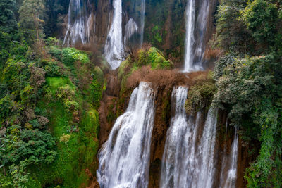 Scenic view of waterfall in forest