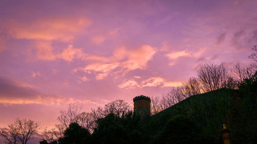 Low angle view of trees against sky at sunset