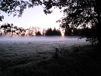 Silhouette trees on field against sky