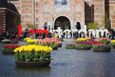 View of flowers in front of building