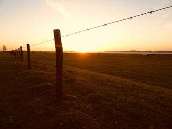 Chainlink fence on field at sunset