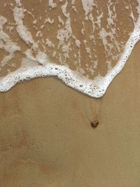 High angle view of bubbles on beach