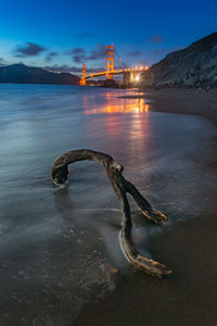 View of driftwood on beach against illuminated bridge during dusk